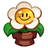 행복한 꽃화분