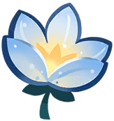 Warmth-imbued Wind Flowers