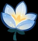 Warmth-imbued Wind Flowers